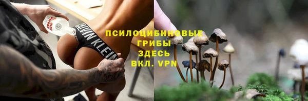 стафф Абинск